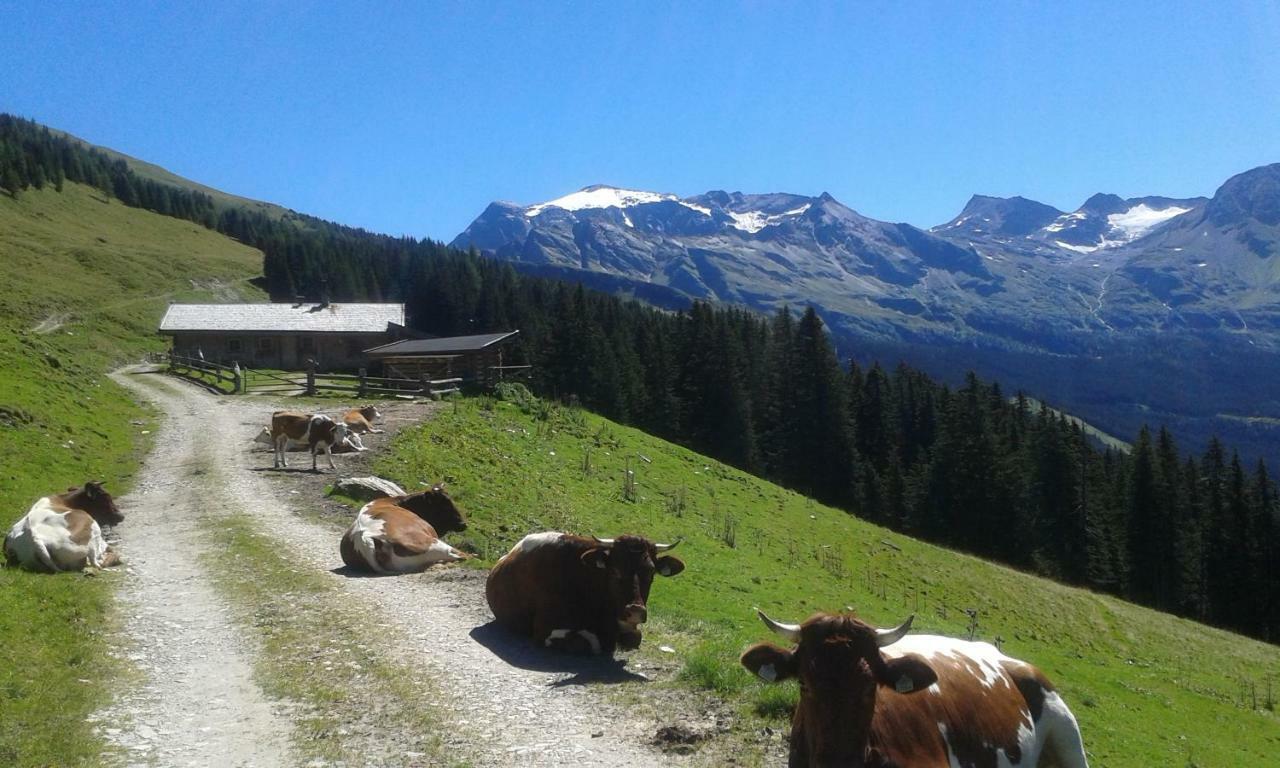 Fruehstuecks- Pension Sonnblickhof Rauris Buitenkant foto