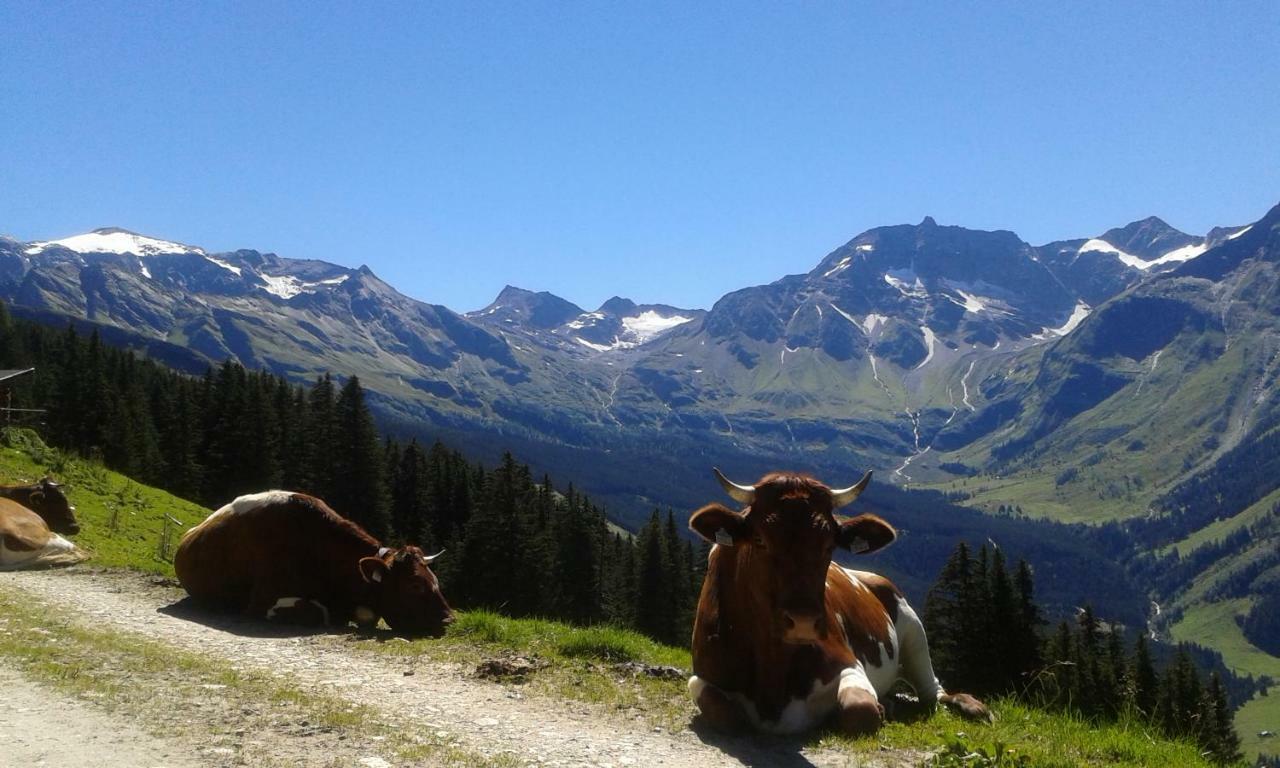 Fruehstuecks- Pension Sonnblickhof Rauris Buitenkant foto